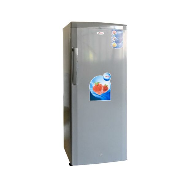 CONGÉLATEUR VERTICAL ASTECH PA290A 6 TIROIRS – Image 3